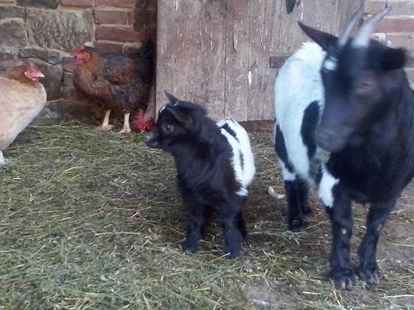 natura-incontaminata