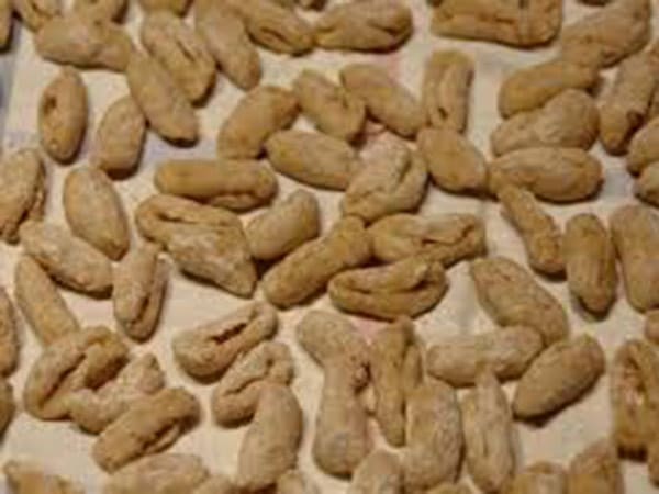 pisarei-e-fasoi-piacenza-lombardia