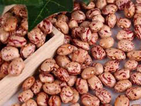 specialita-tipiche-piacentine-parmigiane-piacenza